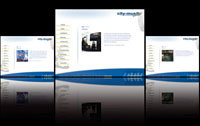 city-music professional e.k. City Music Pro Ulm Webseite Lohrmann Media